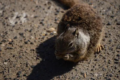 DSC_6898 (Large).JPG